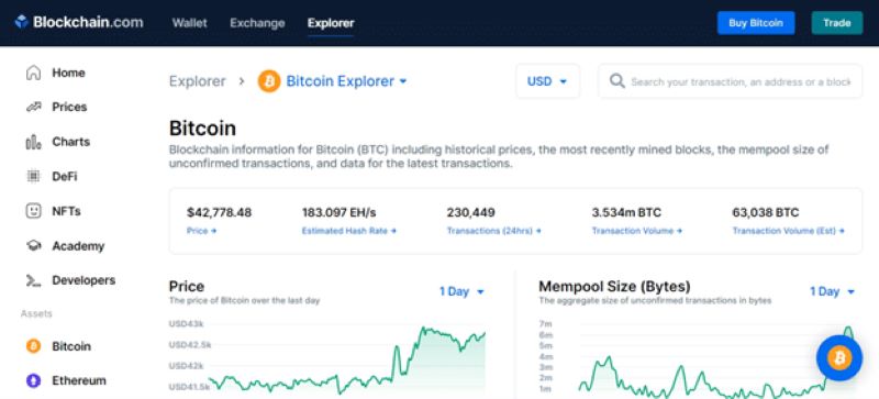 Blockchain explorer