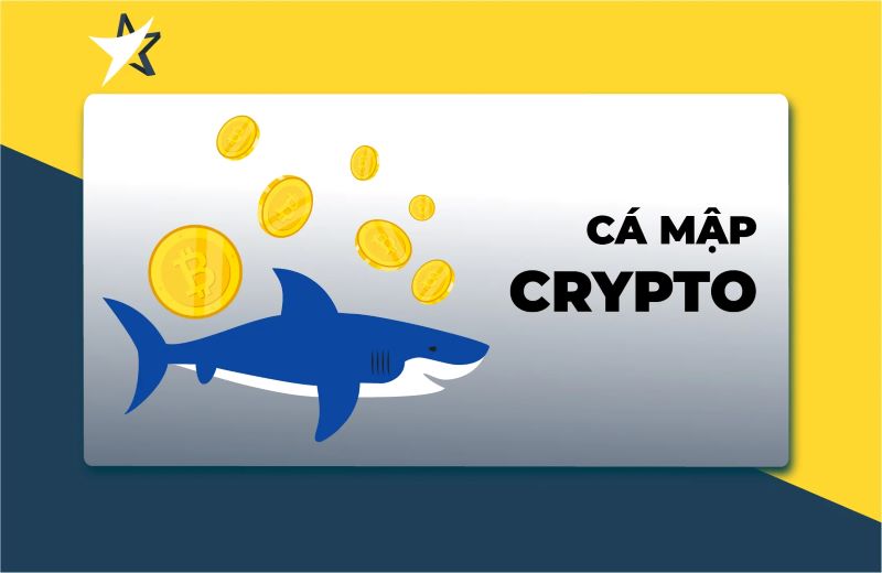 Cá mập trong thị trường crypto là gì?