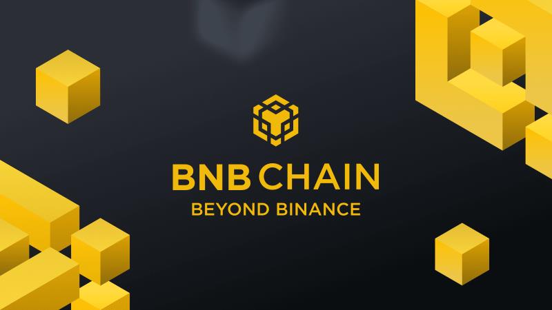 Binance Coin (BNB)