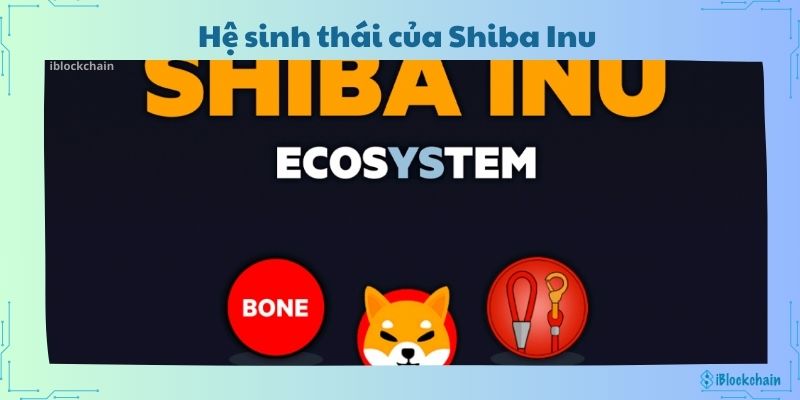 Hệ sinh thái của Shiba Inu 