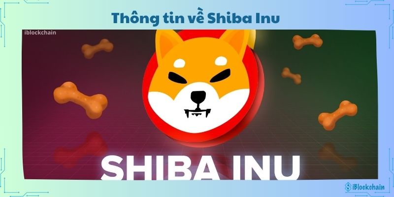 Thông tin về Shiba Inu 