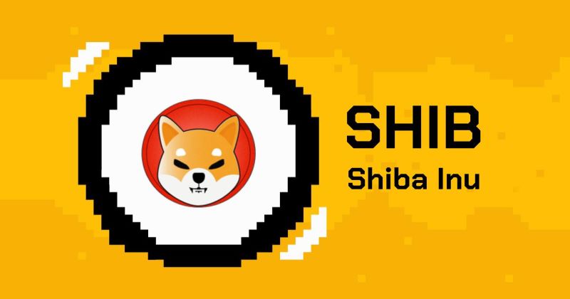 Giới thiệu về Shiba Inu