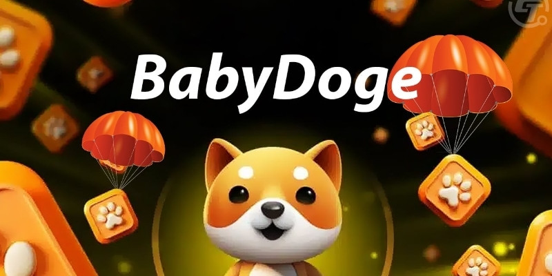 Làm thế nào để tham gia BabyDoge Paws Airdrop?