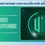 U2U Network cho người mới bắt đầu