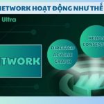 U2U Network hoạt động như thế nào?