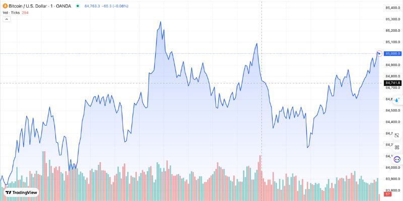 Theo dữ liệu từ CoinGecko, giá Bitcoin hiện dao động quanh $84,525.62 USD
