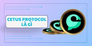 Cetus Protocol là gì